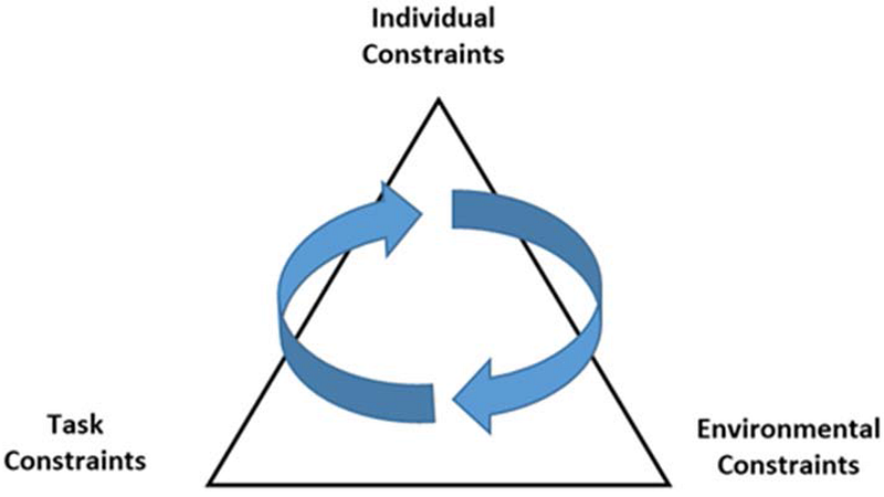 Dynamic systems theory is an entire branch of movement pedagogy dedicated to this interaction. This is a very famous graphic. I do not know who to attribute it to, it is not my own.