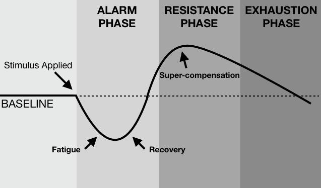 Typical visualization of General Adaptation Syndrome.